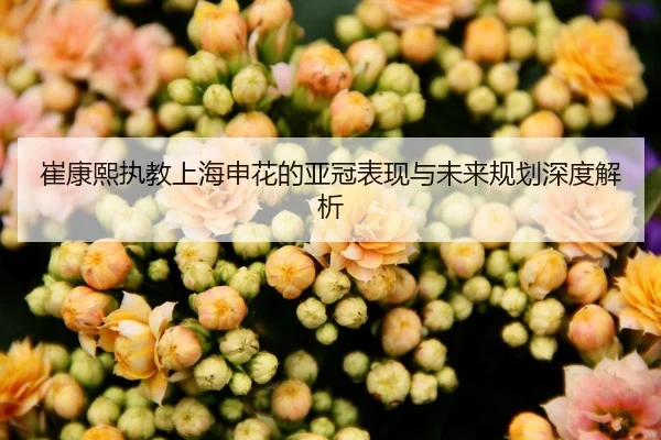 崔康熙执教上海申花的亚冠表现与未来规划深度解析